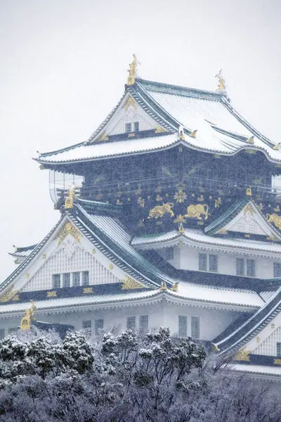 Osaka Castle Snow Japan — Stock Photo, Image