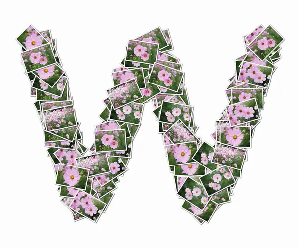 Simbolo Fatto Carte Gioco Con Fiori Rosa — Foto Stock