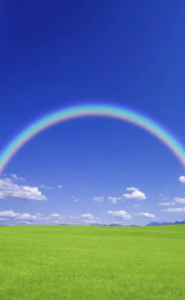 Beautiful Green Field Rainbow Blue Sky — Stock Photo, Image
