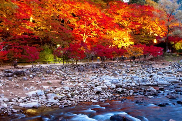 Красивый Осенний Пейзаж Красочными Листьями — стоковое фото
