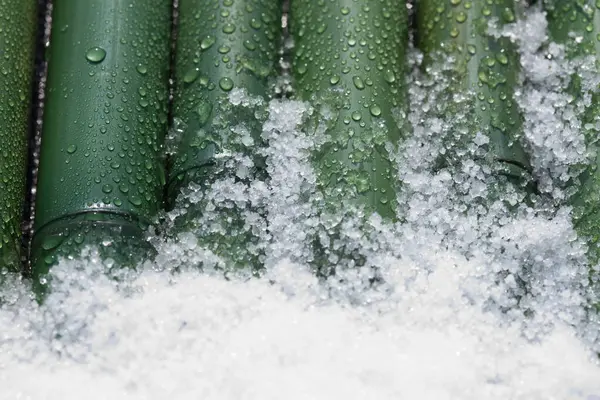 Zielone Krople Wody Śnieg Tle Bambusa Zbliżenie — Zdjęcie stockowe