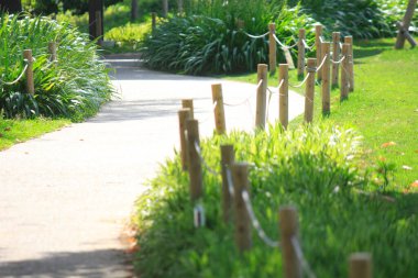 Doğadaki güzel bahçe