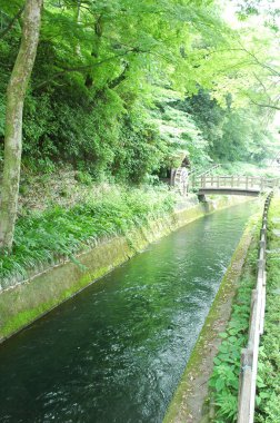 Parkta Japon Köprüsü 