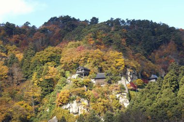 Doğanın güzel manzarası