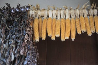 İçerideki ahşap kirişten sarkan kurumuş mısır.