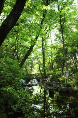 Japon şehrindeki parkın güzel manzarası.