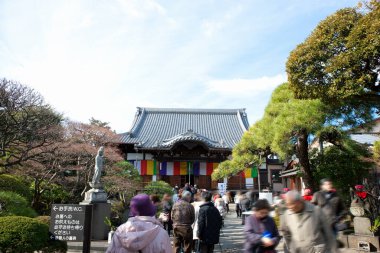 Tokyo 'daki antik Japon tapınağını ziyaret eden kalabalığın hareketli görüntüleri.