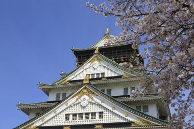Antik tapınak binası, Asya kültürel mimarisi