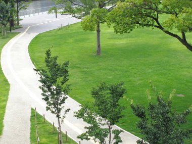 Şehir parkının yeşil manzarası