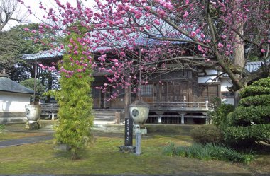 Tapınak manzarası, geleneksel Japon mimarisi.