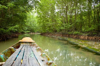 Mangrove ormanındaki nehirde ahşap bir tekne. 