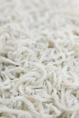 ançüezli balıkların yakın plan görüntüsü