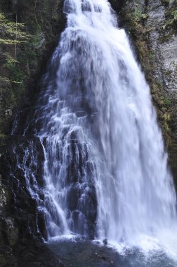 Ormanda güzel bir şelale
