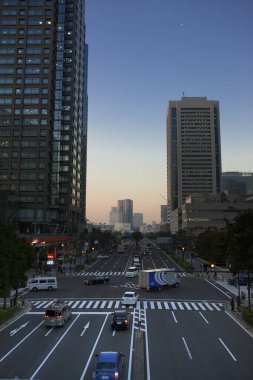 Tokyo şehir manzarası, Japonya. 