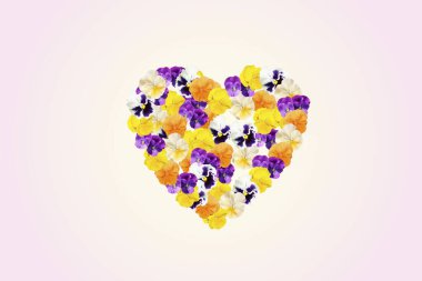 Renkli yaz çiçeklerinin kalbi