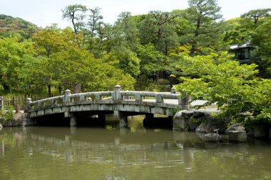 Bereketli yeşil parktaki ahşap köprü nehri geçiyor..