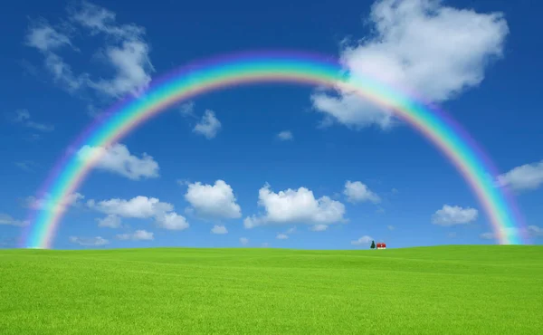 beautiful colorful rainbow over green meadow