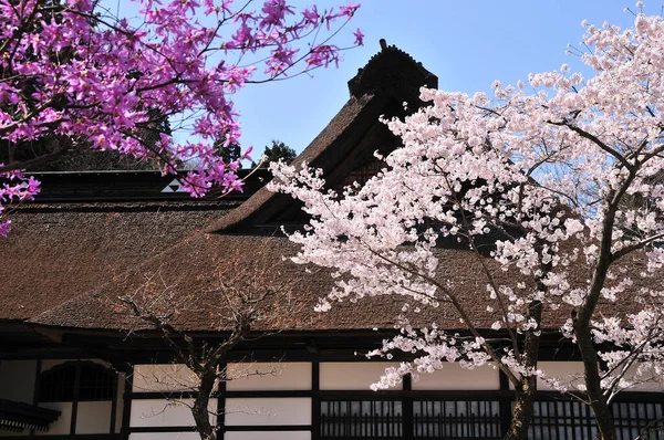 View Temple Building Traditional Japanese Architecture — Stock Photo, Image
