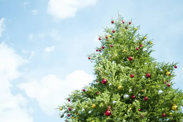 Mavi gökyüzüne karşı parlak mücevherleri olan şenlikli Noel ağacının alçak açılı görüntüsü   