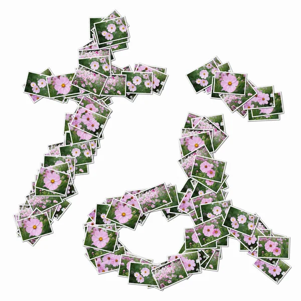 Japanese Hieroglyph Made Playing Cards Pink Flowers — Stock Photo, Image
