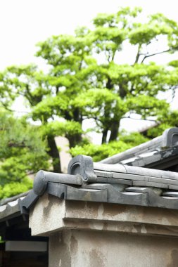 Park 'taki geleneksel Japon mimarisinin ayrıntıları