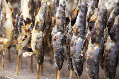 Şişte ızgara balığın yakın plan görüntüsü.      