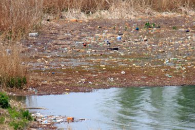 Kirlenmiş su kütlesinin kıyılarına saçılmış bir çöp.