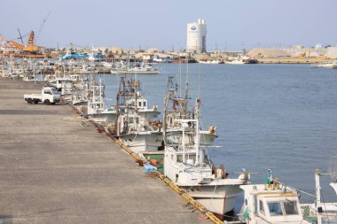 Limanda bir sürü tekne var.