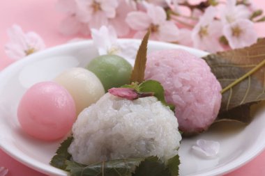 Renkli bahar çiçekleri güneş ışığında çiçek açıyor 