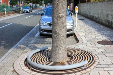 Dairesel metal ızgaradan büyüyen ağaç