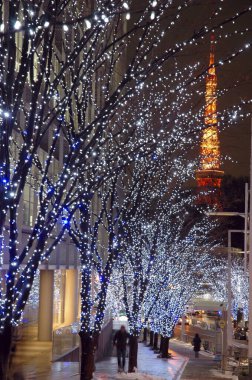 Noel dekoru ve aydınlatılmış çelenkler gece vakti ağaçlarda              