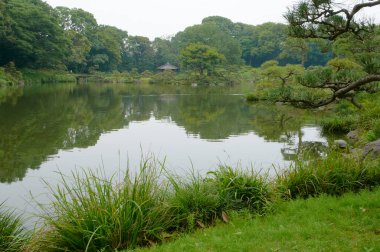 Parktaki nehrin güzel manzarası