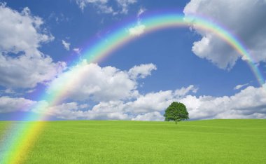 güzel renkli gökkuşağı yeşil çayır üzerinde