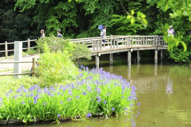 Tahta köprüsü olan güzel yeşil park manzarası 