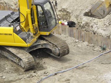 Arka planda sarı kazıcı var. Kapatın.