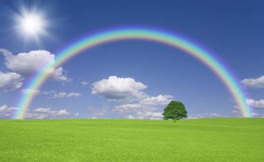 güzel renkli gökkuşağı yeşil çayır üzerinde