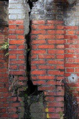 Çatallı tuğla bir duvar 