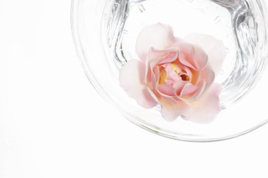 Beyaz arka planda pembe çiçekli bir bardak su.