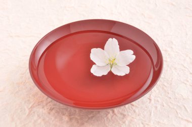 İçinde kiraz çiçeği olan bir kase su.