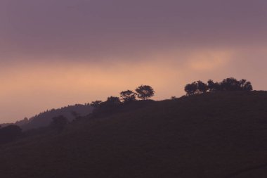 Dağlarda ağaçları olan güzel bir manzara.