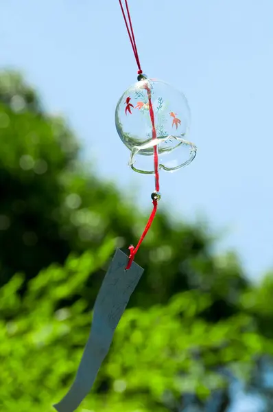 Красивые Японские Колокольчики Летом — стоковое фото