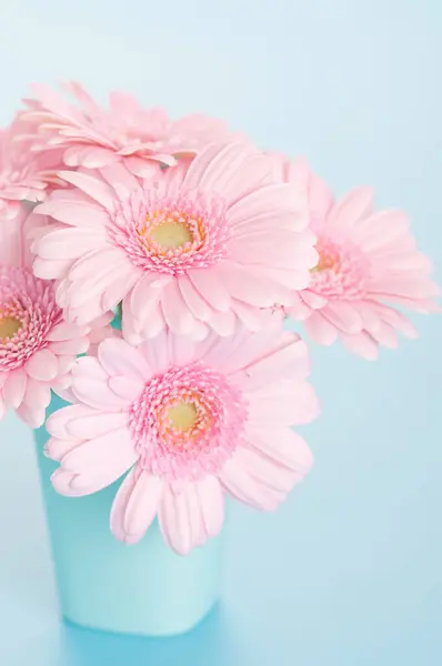 beautiful pink flowers in vase