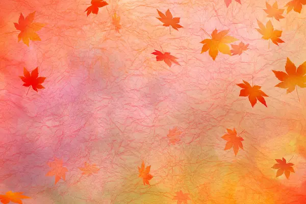 秋の紅葉の風合い — ストック写真