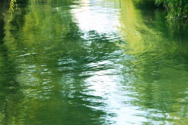 Parktaki güzel nehir.