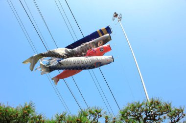 Japon koinobori ya da sazan balıklarının açık hava görüntüsü.                