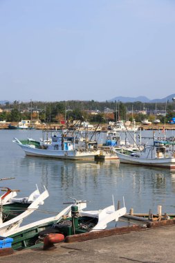 Limanda bir sürü tekne var.