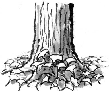 Ağaç Gövdesi Beyaz Arkaplanda İzole Edildi 