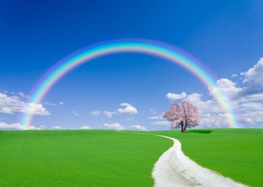 güzel renkli gökkuşağı yeşil çayırın üzerinde çiçek açan ağaçla