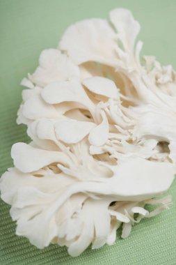 Beyaz çiğ mantar, yakın çekim, mutfak fotoğrafı. 