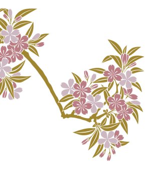 Sakura ağaçlarının dallarında çiçek açan kusursuz desenler.